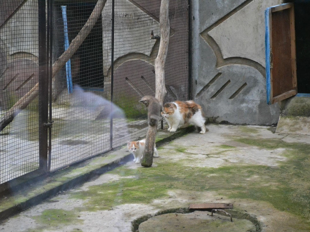 Pyongyang Central Zoo-平壤必去景点