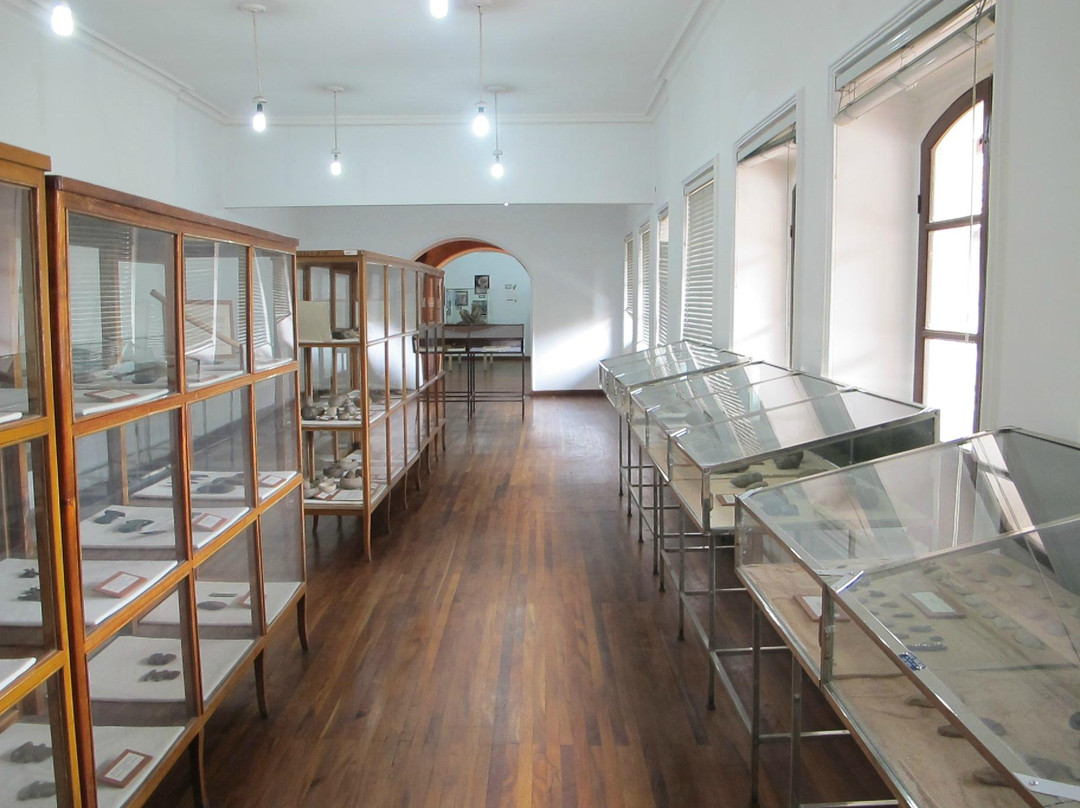 Museo Charcas (University Museum Colonial & Anthropological)-苏克雷必去景点