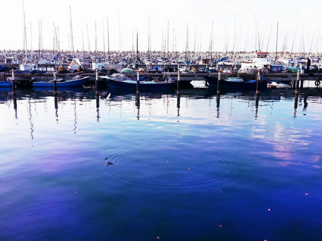 Ashkelon Marina-阿什克伦必去景点