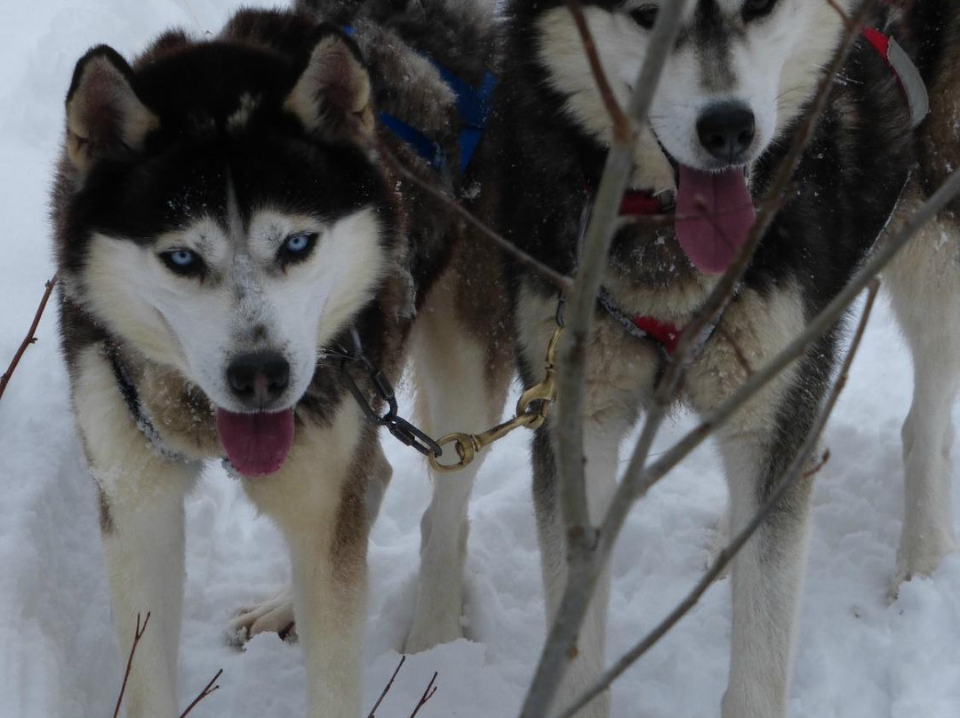 Randonnee Malaski-Lac-des-Iles必去景点