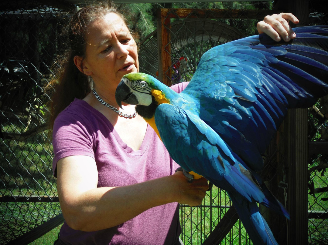 天堂草场-纳勒胡必去景点