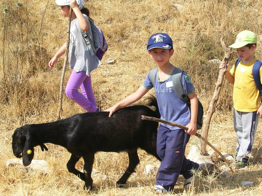 Chai Goat Farm-Modiin必去景点