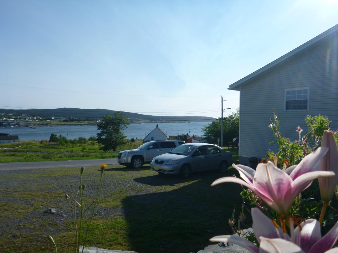 Witless Bay Suites主图