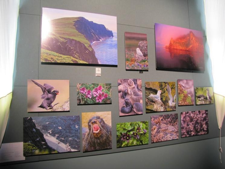 阿拉斯加岛与海洋游客中心-荷马必去景点