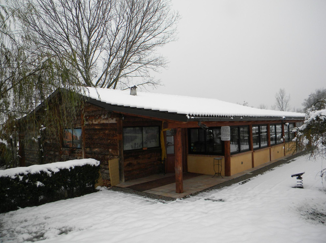 Rivalta Bormida餐馆和美食-Ristorante dell'Agriturismo Cascina Beneficio