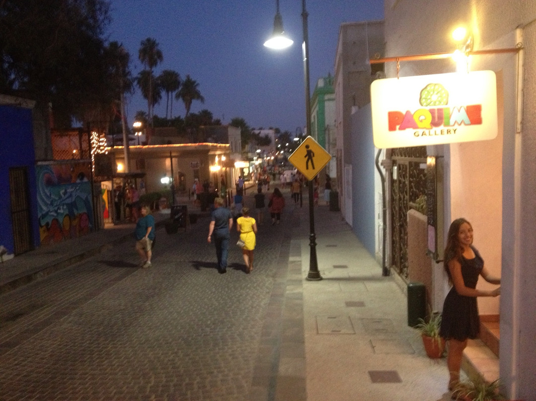 Paquime Gallery-圣何塞卡波必去景点