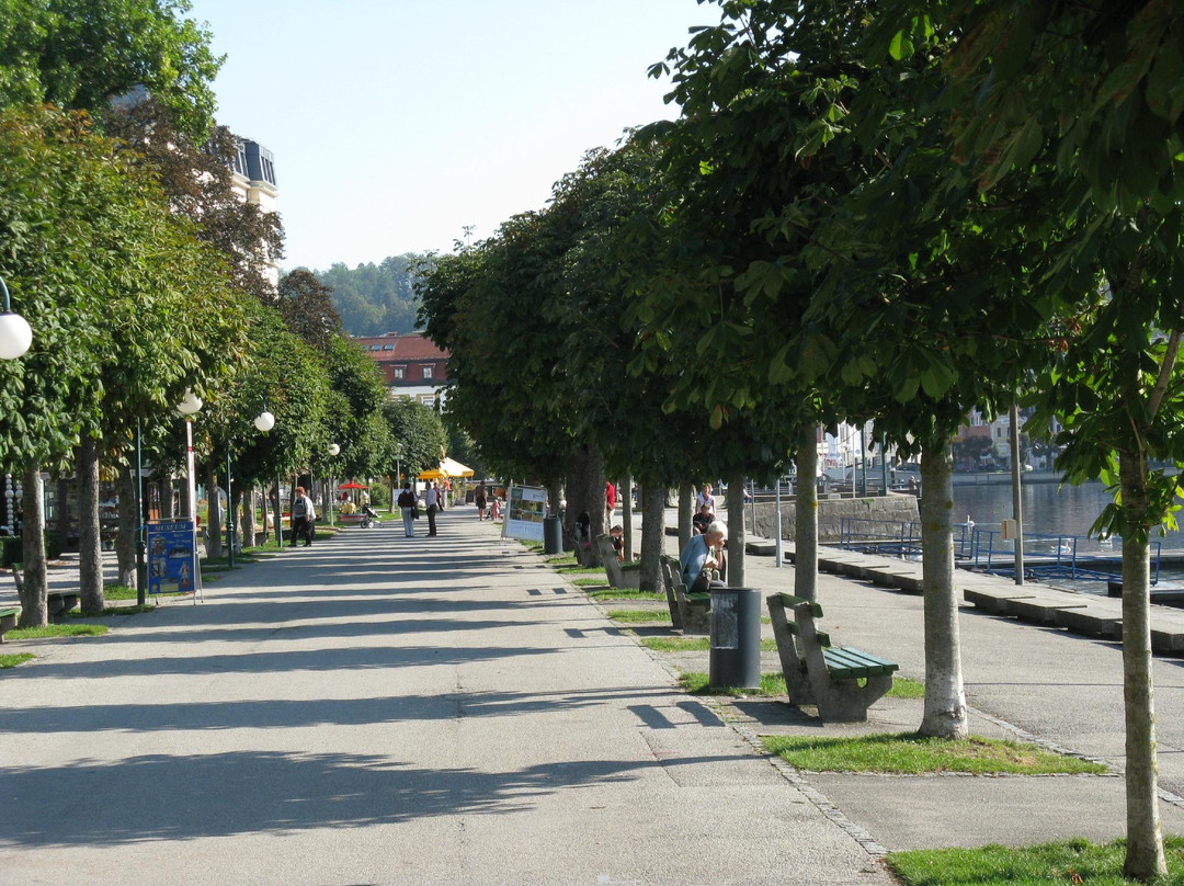 Esplanade am Traunsee景点图片