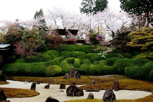 Kōmyō-in Temple-京都市必去景点