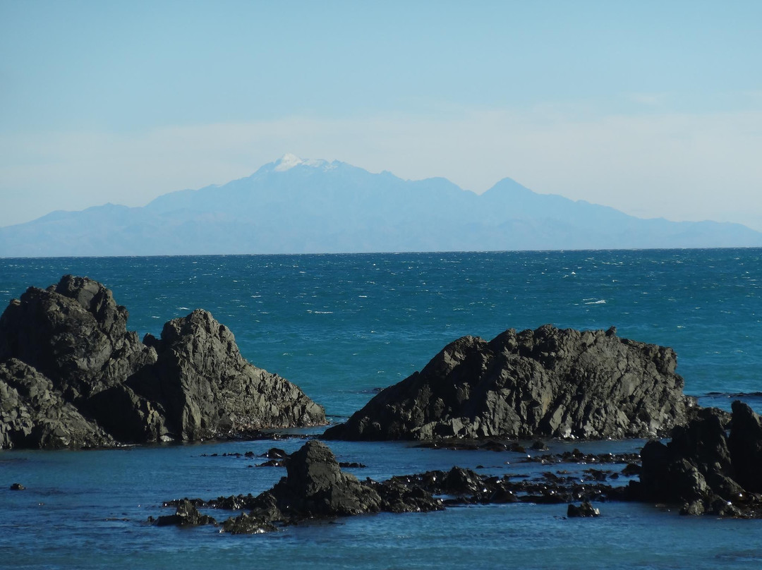 Seal Coast Safari景点图片
