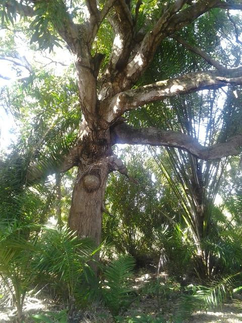 Igreja de Nossa Senhora da Conceicao do Outeiro-嘎林海斯港必去景点