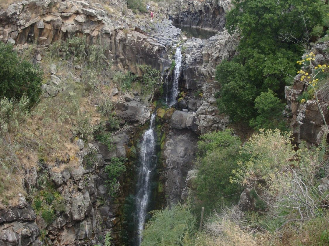 Yehudiya Forest Nature Reserve-Katzrin必去景点