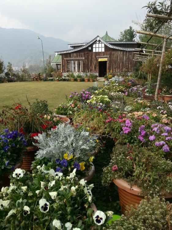 Seven Hills Village Resort-餐饮