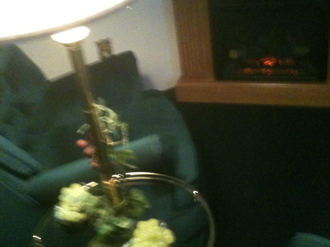 Winery Bed and Breakfast主图