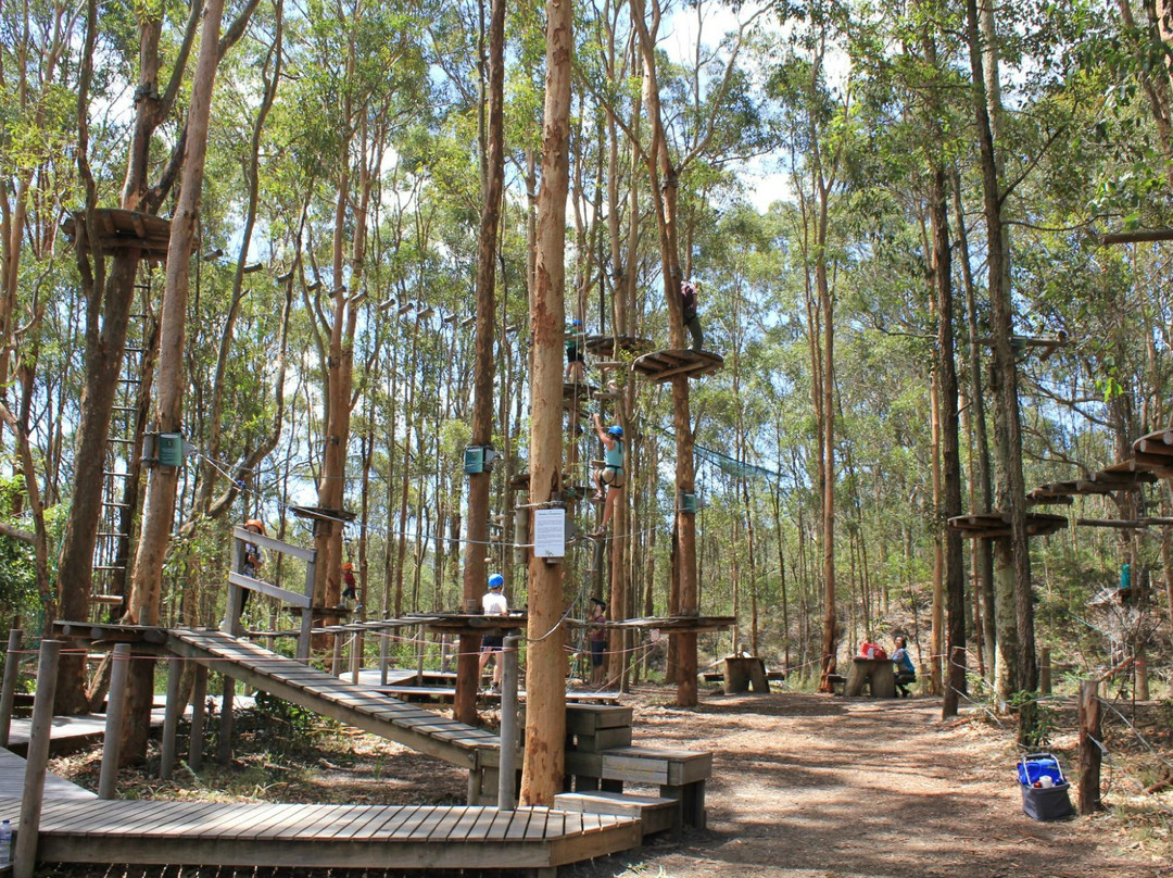 TreeTops Central Coast-怀昂溪必去景点