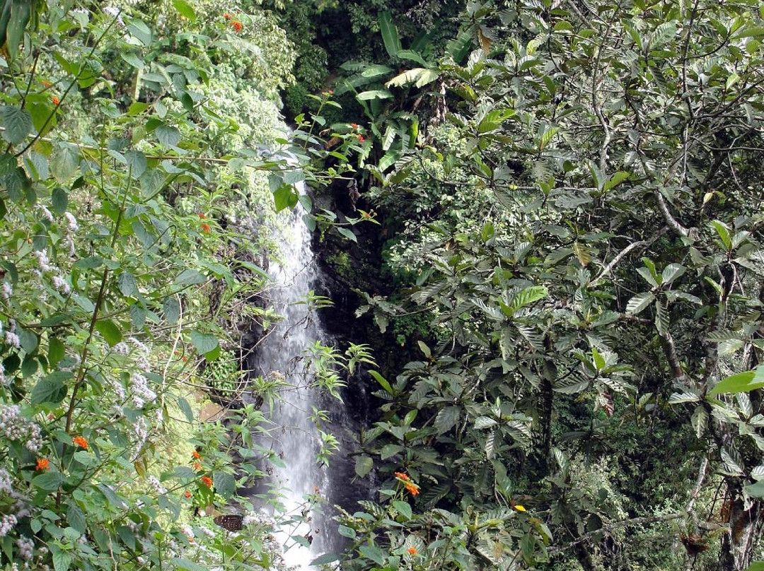 Dlundung Waterfall景点图片
