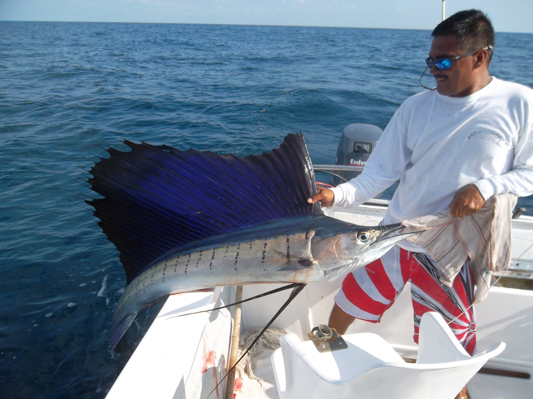 Fishing Rebels-瓦拉塔港必去景点