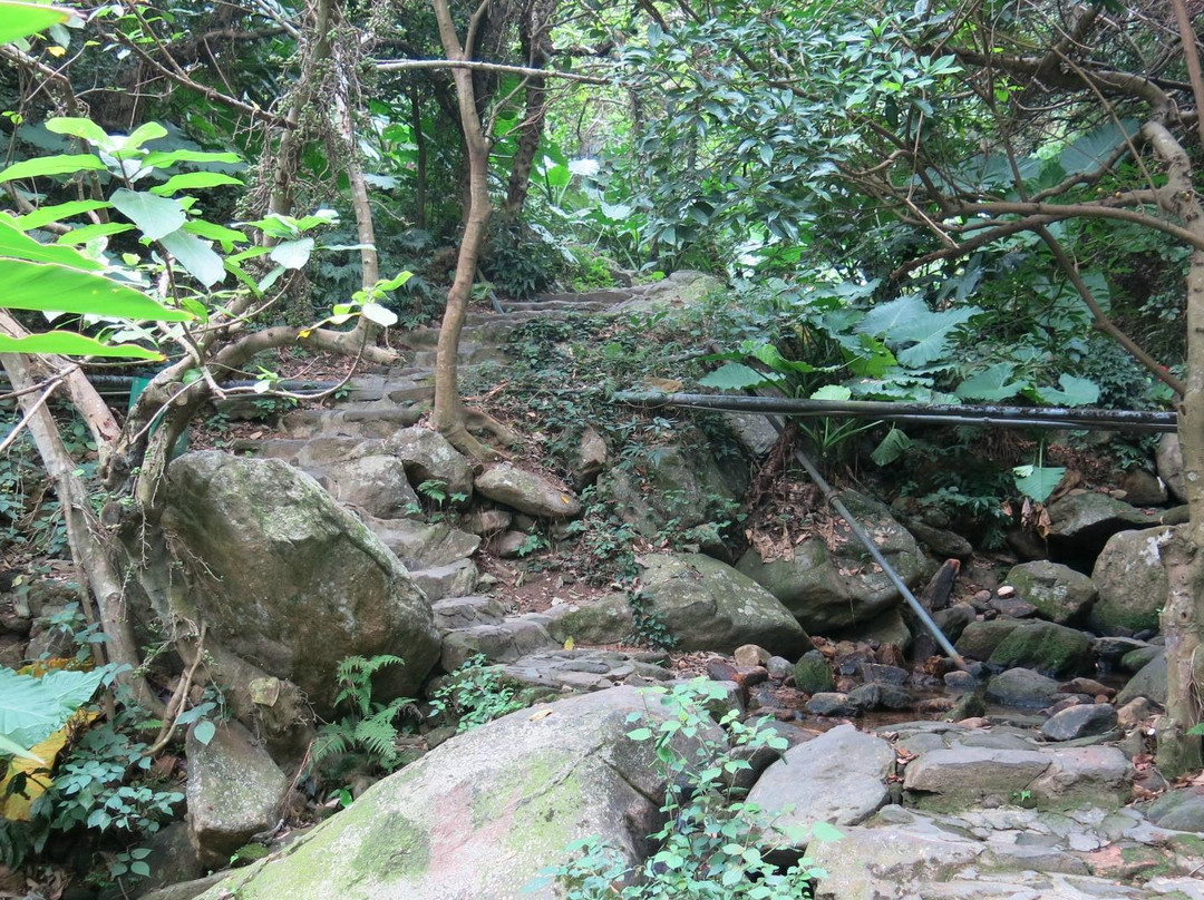 弘法寺景点图片