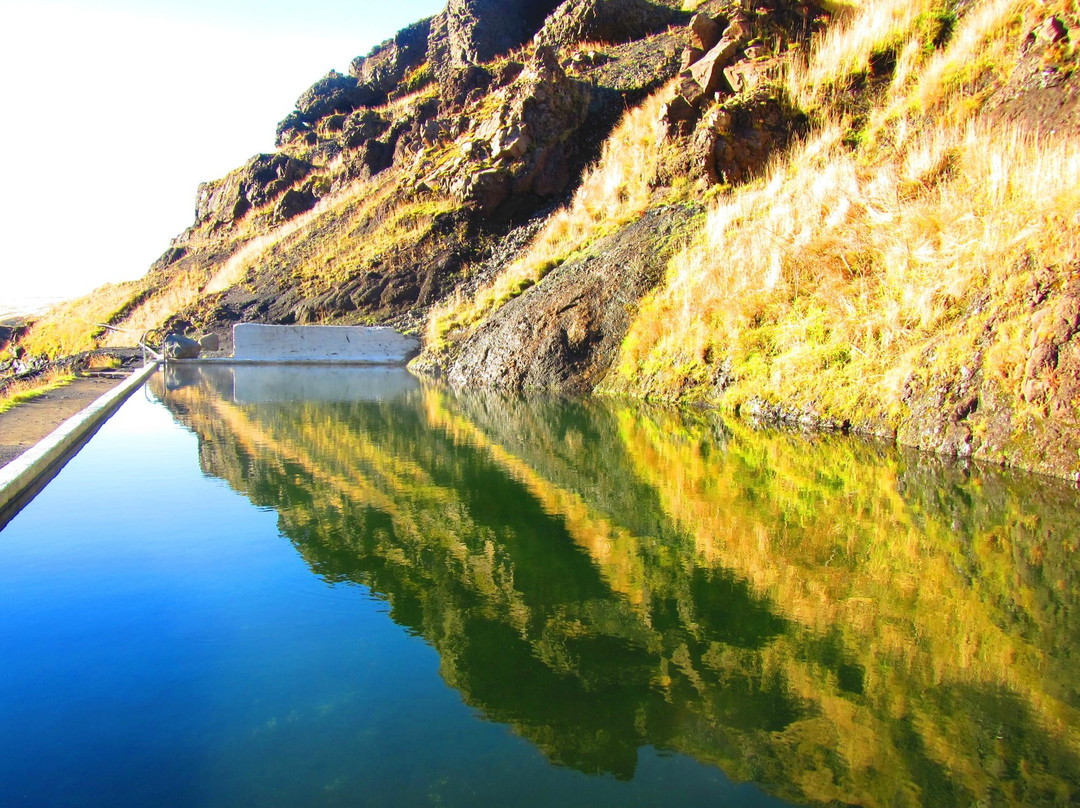 Seljavallalaug-Skogar必去景点