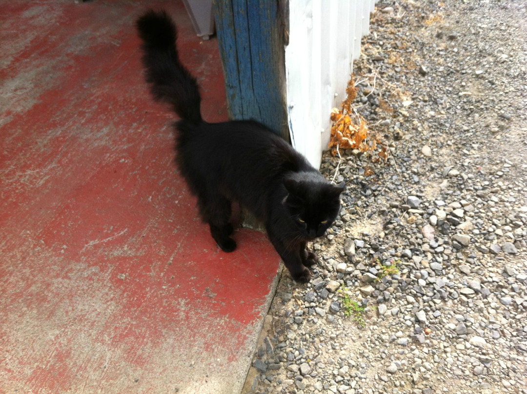 Amity Vineyards-Amity必去景点