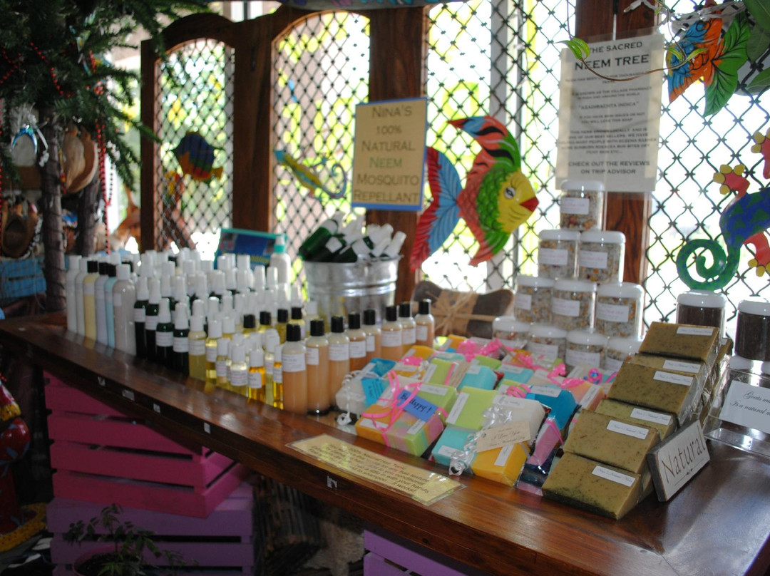 Beach Bubbles Cayman-大开曼岛必去景点