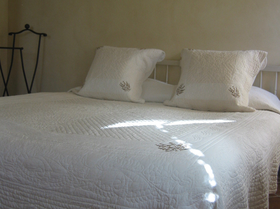 B&B Serenbella主图