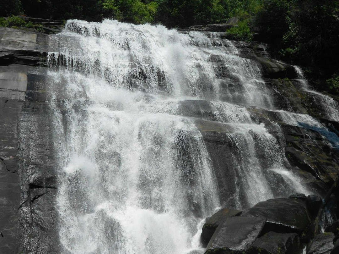 Horsepasture River and Nature Trails景点图片