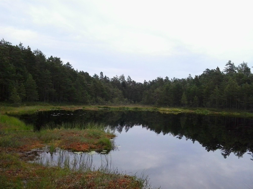 Natura Viva: Nuuksio Forest Lake Trail-赫尔辛基必去景点