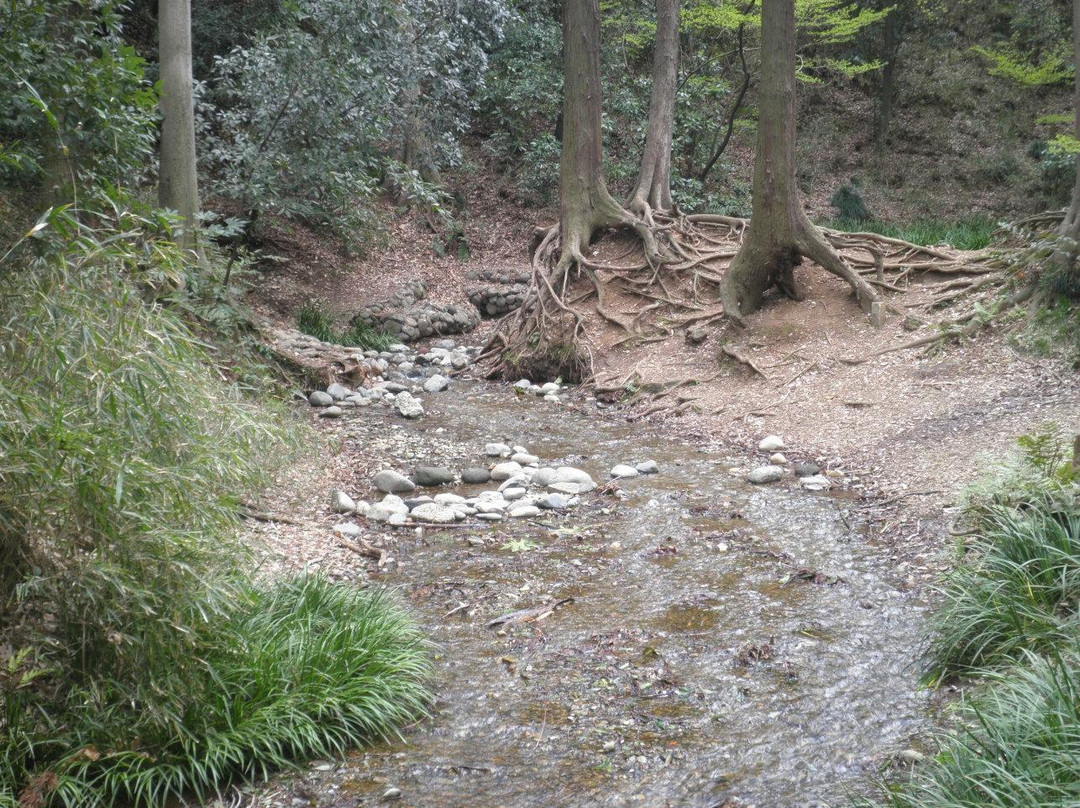 Myoonsawa Special Green Conservation Area-新座市必去景点