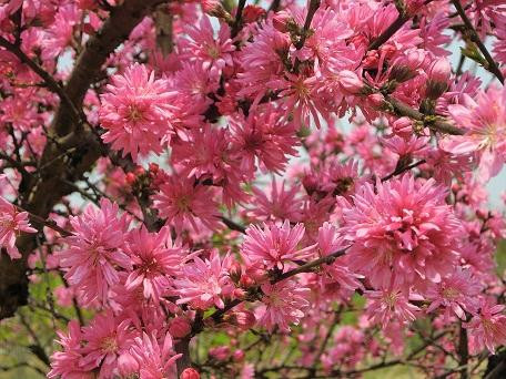 吼山-绍兴市必去景点