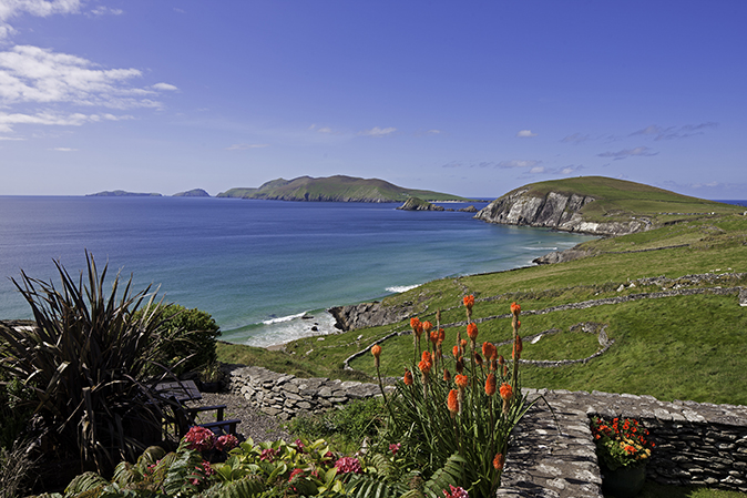 Slea Head Farm B & B-官方