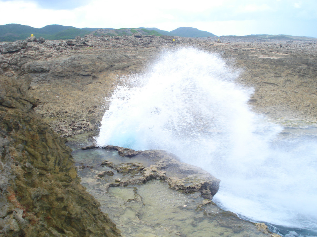 Shete Boka National Park-威廉斯塔德必去景点