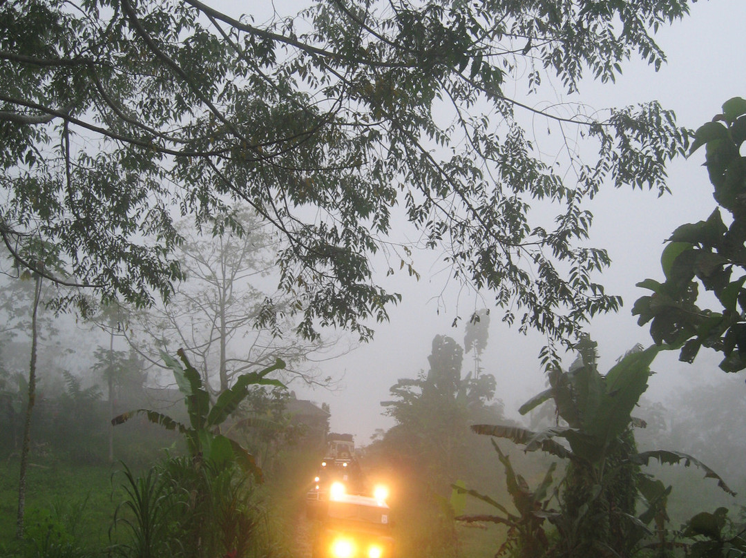 easyGO Classic Jeep Adventure Day Tour-登巴萨必去景点