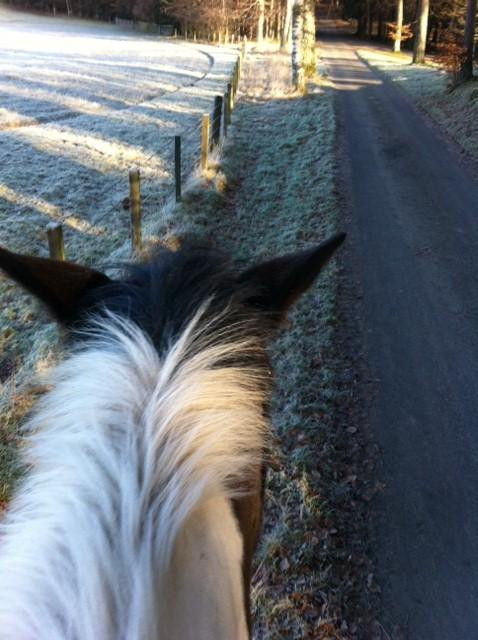 Bowhill Stables-Selkirk必去景点
