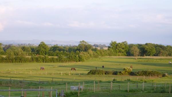 Church Farm-酒店景观