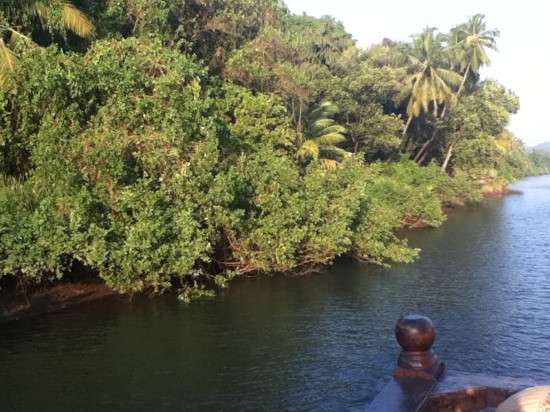 John's Boat Tours - Day Tours-坎多林必去景点