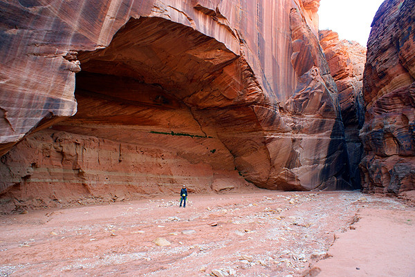 Wire Pass Trail (Buckskin Gulch Access)-卡纳布必去景点
