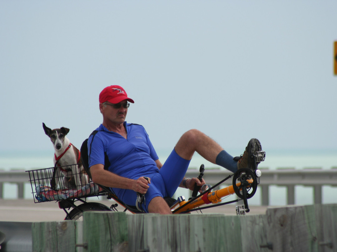 The Overseas Highway-基韦斯特必去景点