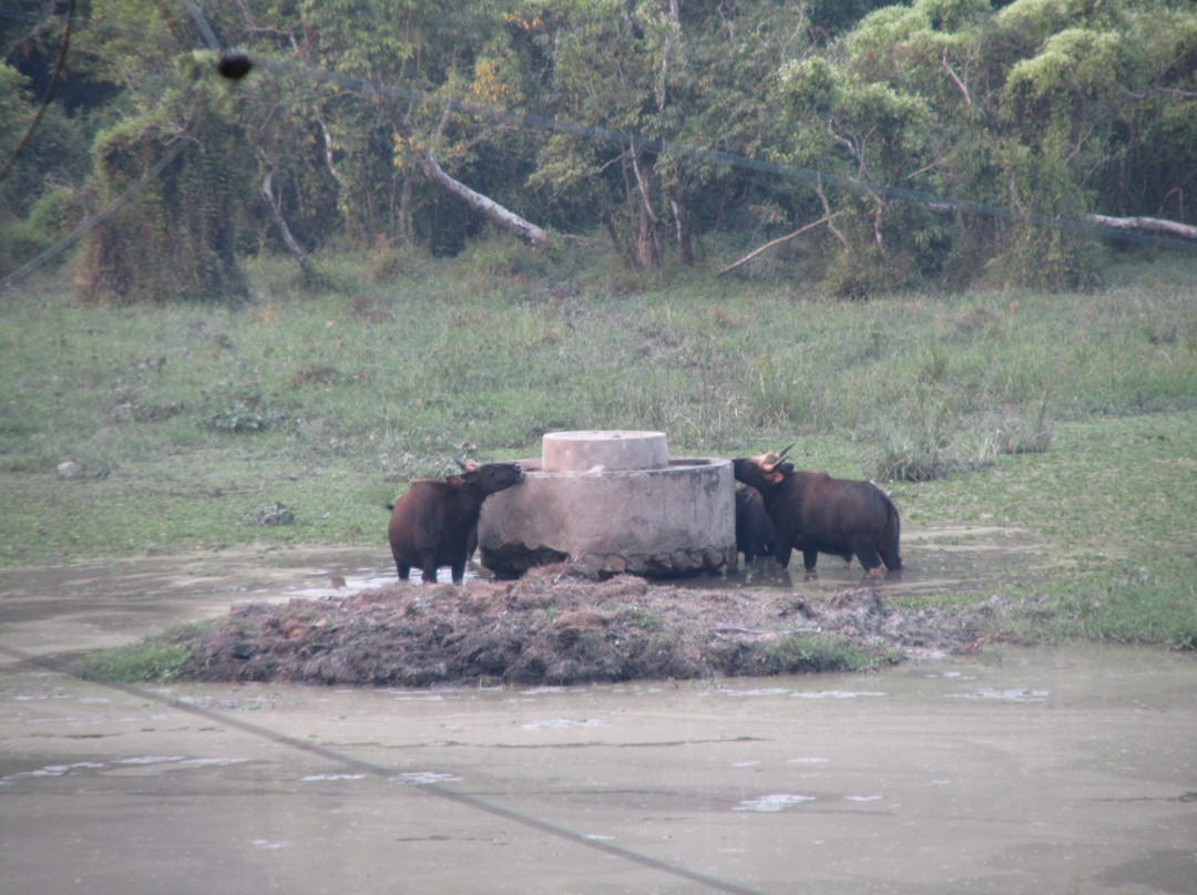 Chapramari Wildlife Sanctuary景点图片