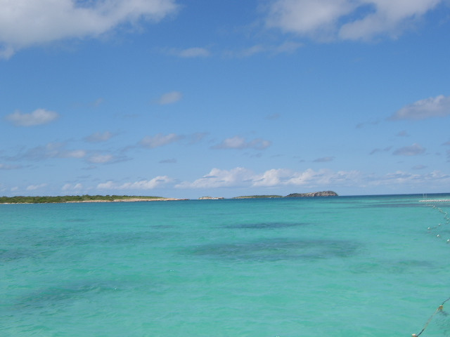 Stingray City-安提瓜必去景点