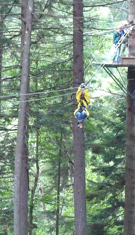 Bretton Woods Canopy Tour-布雷顿森林必去景点