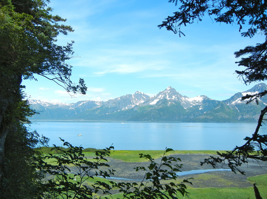 Alaska Fjord Charters-苏厄德必去景点
