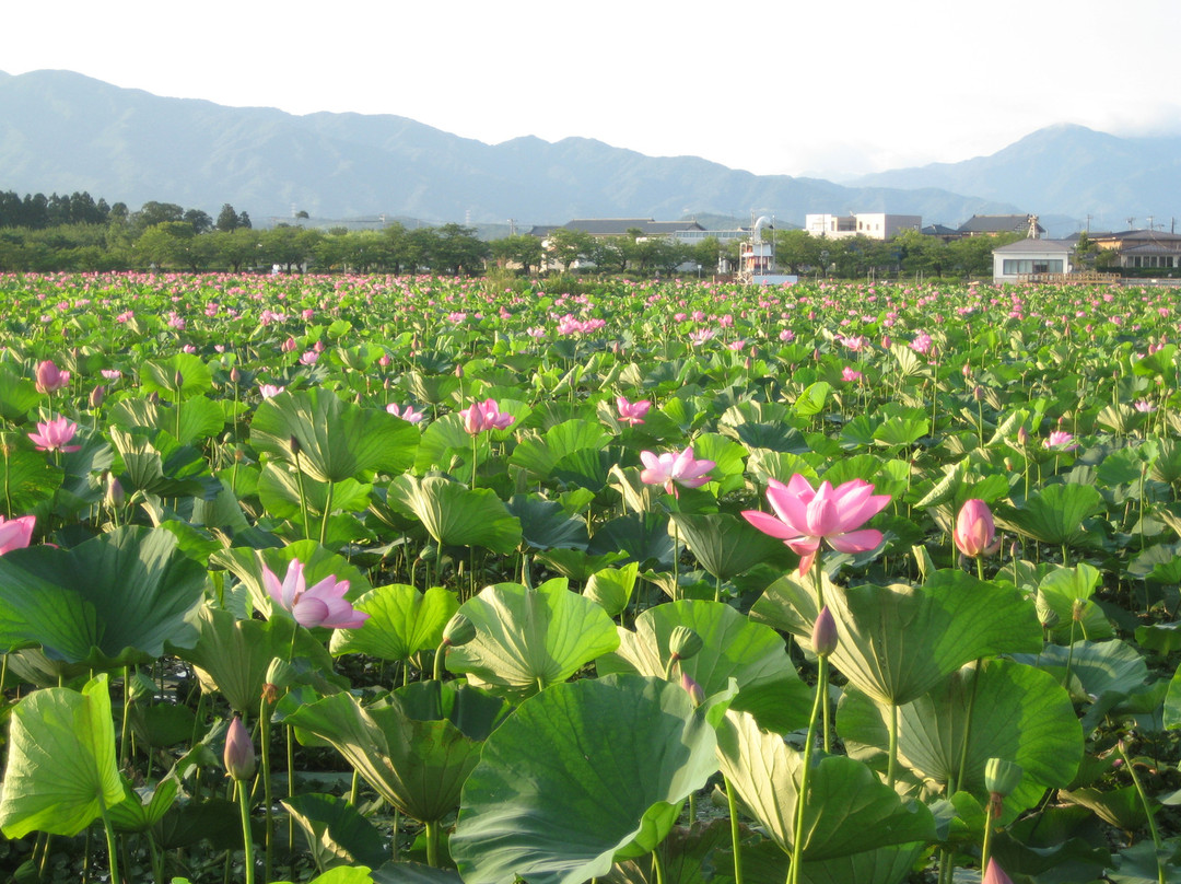 Hyoko Hakucho Kaikan-阿贺野市必去景点