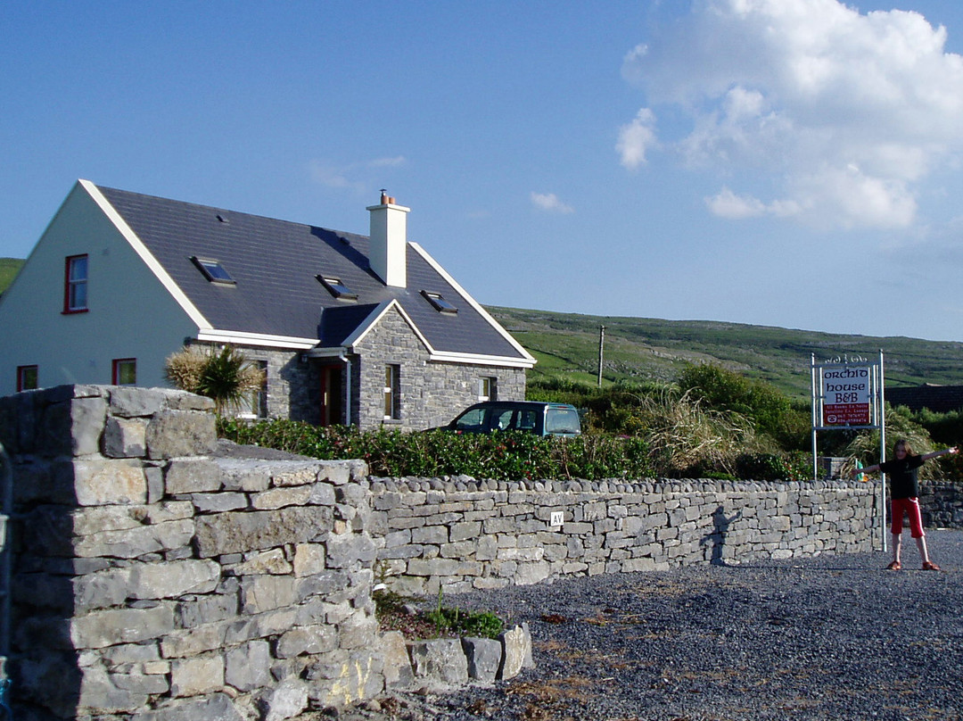 Orchid House Bed & Breakfast主图