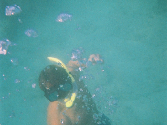 Dolphin Safari Charters-基韦斯特必去景点