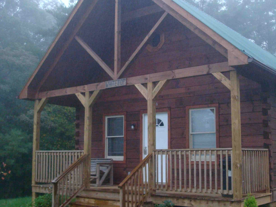 Mountain View Lodge and Cabins