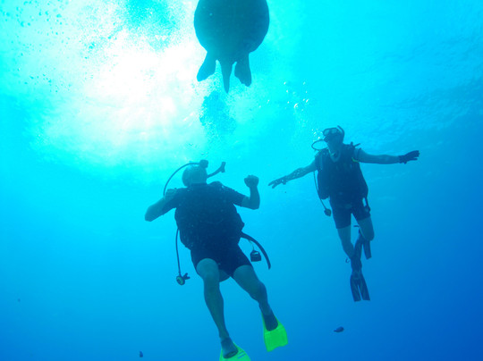 Makena Coast Charters