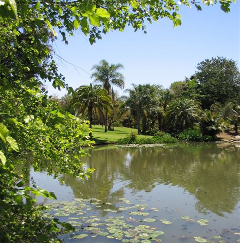 Arboretum And Botanical Garden At Cal State Fullerton景点图片
