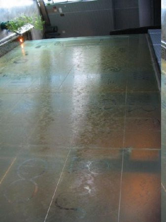 Great Lakes Aquarium-德卢斯必去景点