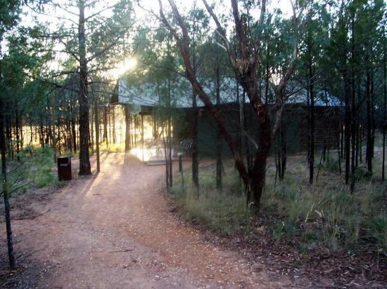 Taronga Western Plains Zoo-达博必去景点