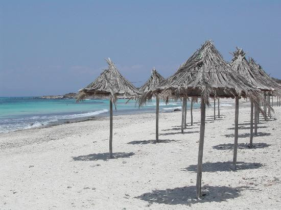 Chrissi Island-Ierapetra必去景点